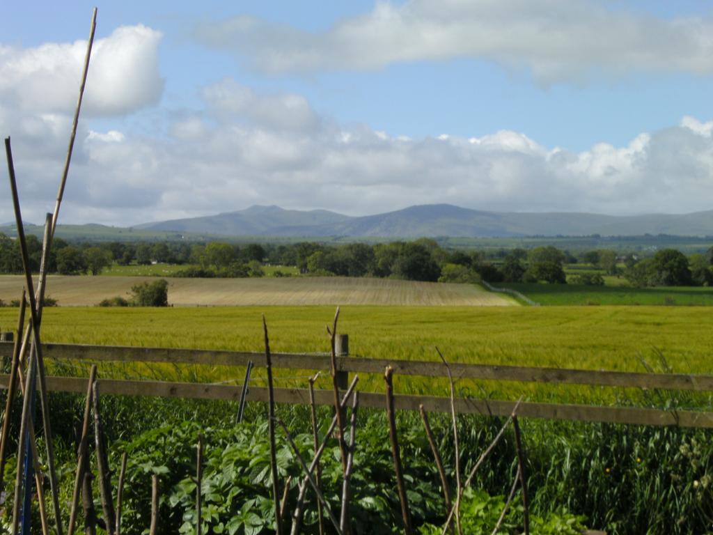Wallace Lane Farm Westward Exterior photo